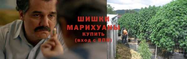 мдпв Нея