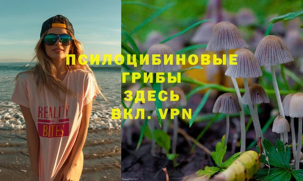 спиды Ростов