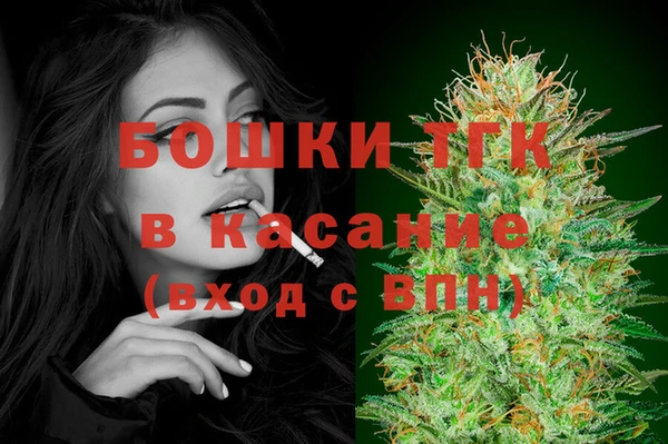 шишки Гусиноозёрск