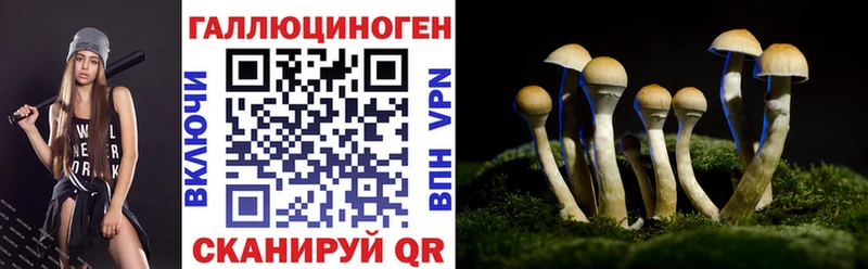 дарнет шоп  Карталы  Псилоцибиновые грибы мицелий 
