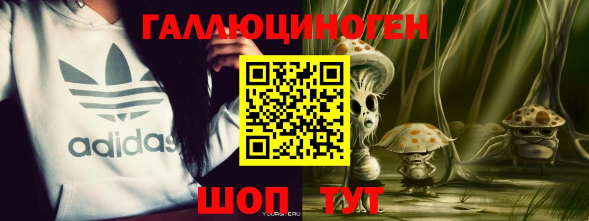 Псилоцибиновые грибы Psilocybe Карталы